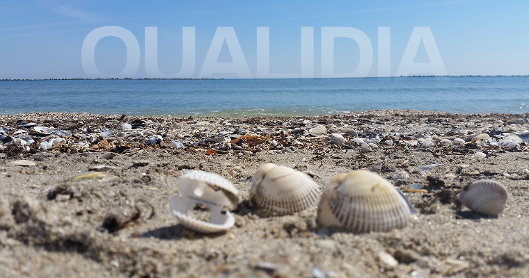 Oualidia-lagoon-whispers-and-oyster-tides - travel about it
