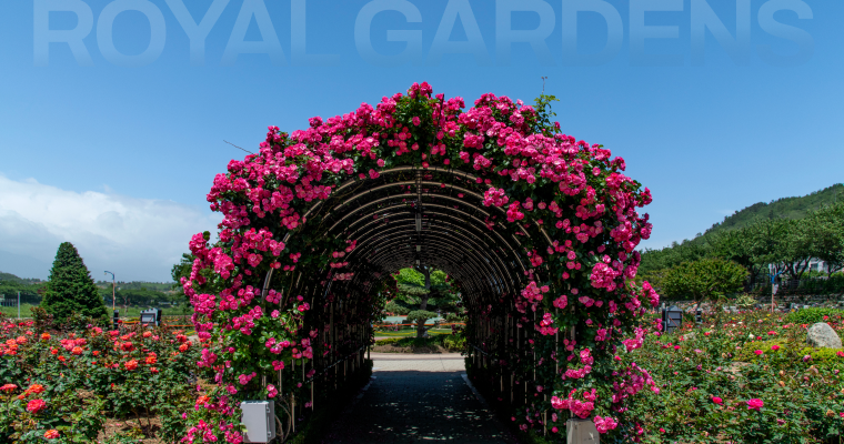 Palais-royal-garden - travel about it